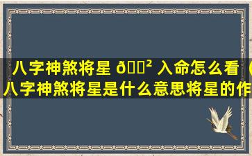 八字神煞将星 🌲 入命怎么看（八字神煞将星是什么意思将星的作 🌵 用有哪些）